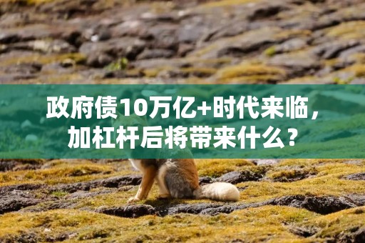 政府债10万亿+时代来临，加杠杆后将带来什么？
