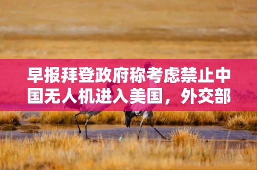 早报拜登政府称考虑禁止中国无人机进入美国，外交部回应；央行：择机降准降息