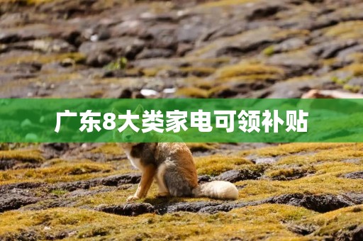 广东8大类家电可领补贴
