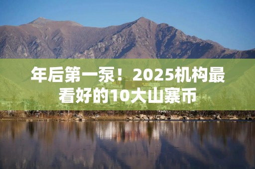 年后第一泵！2025机构最看好的10大山寨币