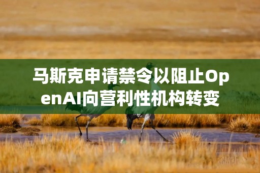 马斯克申请禁令以阻止OpenAI向营利性机构转变