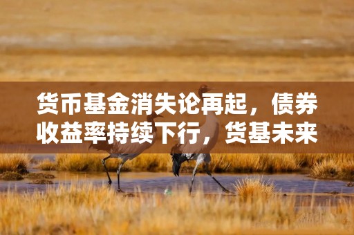 货币基金消失论再起，债券收益率持续下行，货基未来真会消失吗？