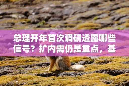 总理开年首次调研透露哪些信号？扩内需仍是重点，基建有望加速