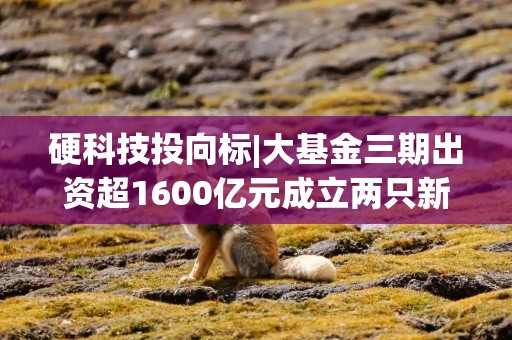 硬科技投向标|大基金三期出资超1600亿元成立两只新基金 工信部：到2027年建设1万个5G工厂