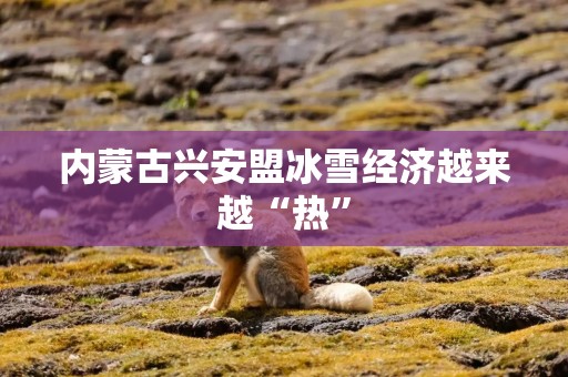 内蒙古兴安盟冰雪经济越来越“热”