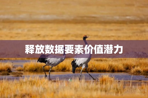 释放数据要素价值潜力