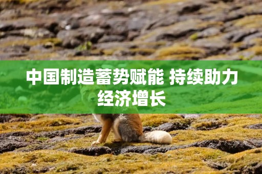 中国制造蓄势赋能 持续助力经济增长