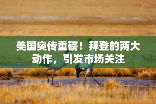 美国突传重磅！拜登的两大动作，引发市场关注