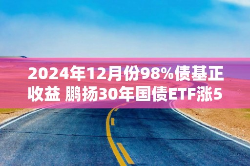 2024年12月份98%债基正收益 鹏扬30年国债ETF涨5.8%