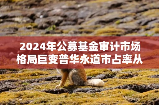 2024年公募基金审计市场格局巨变普华永道市占率从45%降至1%