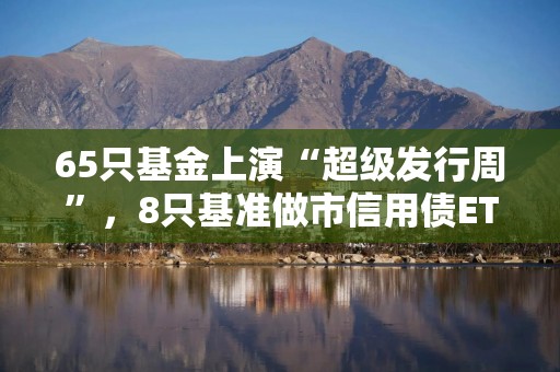 65只基金上演“超级发行周”，8只基准做市信用债ETF齐发，再上演一日售罄？