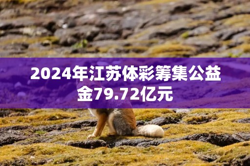 2024年江苏体彩筹集公益金79.72亿元