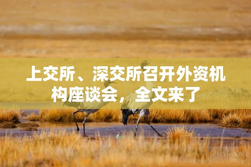 上交所、深交所召开外资机构座谈会，全文来了