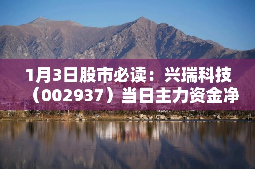 1月3日股市必读：兴瑞科技（002937）当日主力资金净流出370.72万元，占总成交额5.7%