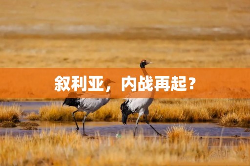 叙利亚，内战再起？