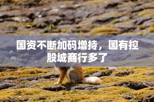 国资不断加码增持，国有控股城商行多了