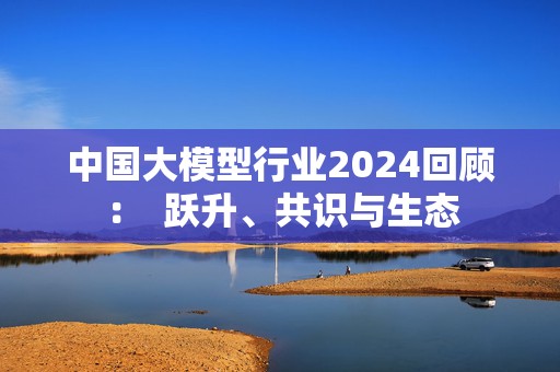 中国大模型行业2024回顾：  跃升、共识与生态