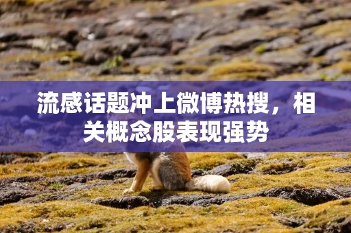 流感话题冲上微博热搜，相关概念股表现强势