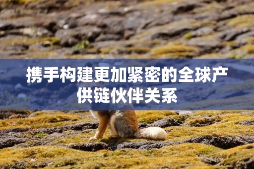 携手构建更加紧密的全球产供链伙伴关系