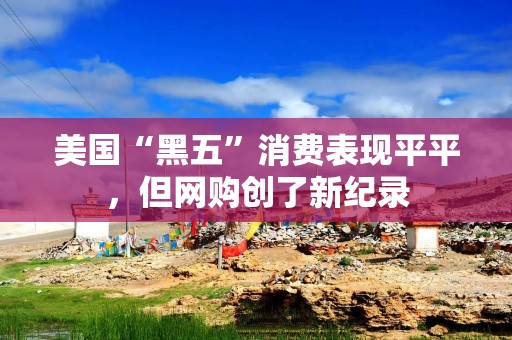 美国“黑五”消费表现平平，但网购创了新纪录