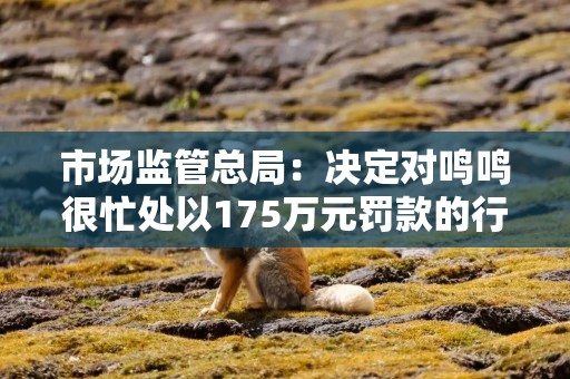 市场监管总局：决定对鸣鸣很忙处以175万元罚款的行政处罚