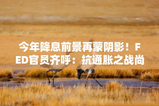 今年降息前景再蒙阴影！FED官员齐呼：抗通胀之战尚未胜利