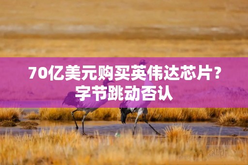 70亿美元购买英伟达芯片？字节跳动否认