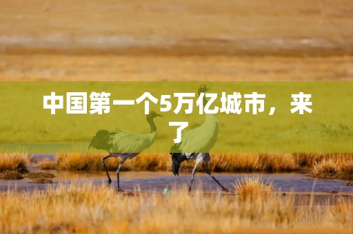 中国第一个5万亿城市，来了