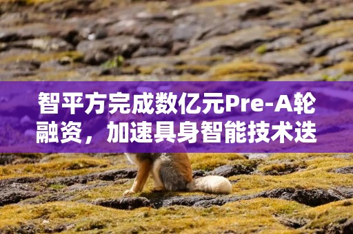 智平方完成数亿元Pre-A轮融资，加速具身智能技术迭代与商业化