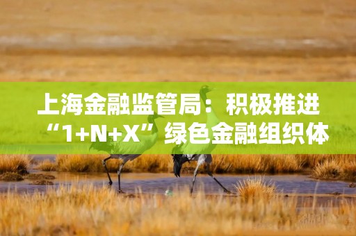 上海金融监管局：积极推进“1+N+X”绿色金融组织体系建设