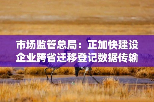 市场监管总局：正加快建设企业跨省迁移登记数据传输系统