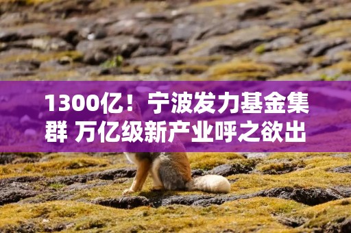 1300亿！宁波发力基金集群 万亿级新产业呼之欲出