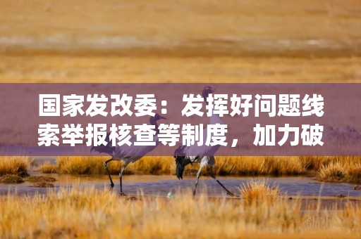 国家发改委：发挥好问题线索举报核查等制度，加力破除各种形式的地方保护和市场分割