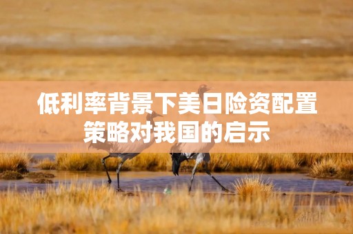 低利率背景下美日险资配置策略对我国的启示