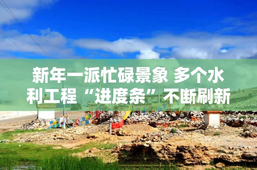 新年一派忙碌景象 多个水利工程“进度条”不断刷新