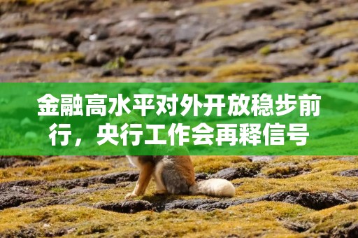 金融高水平对外开放稳步前行，央行工作会再释信号