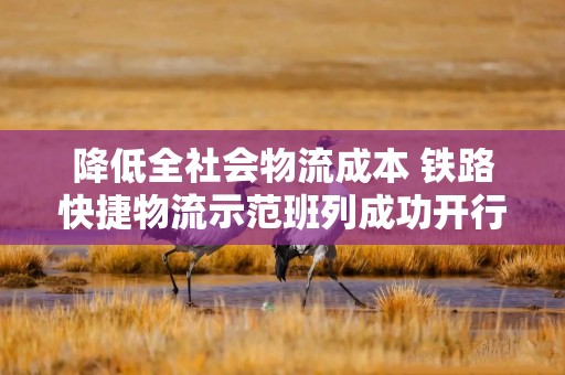 降低全社会物流成本 铁路快捷物流示范班列成功开行
