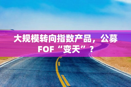 大规模转向指数产品，公募FOF“变天”？