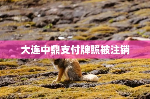 大连中鼎支付牌照被注销