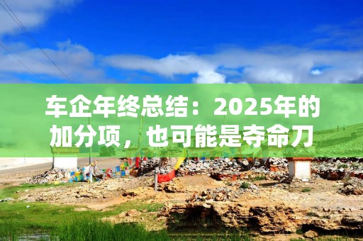 车企年终总结：2025年的加分项，也可能是夺命刀
