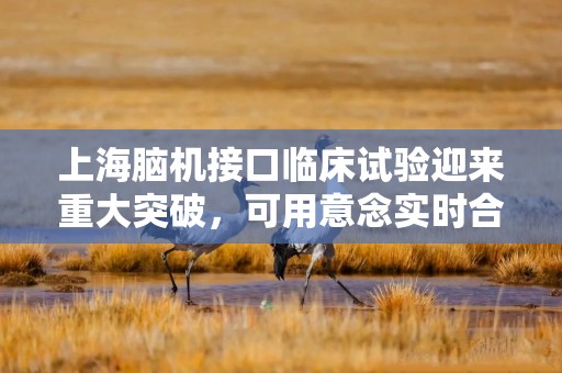 上海脑机接口临床试验迎来重大突破，可用意念实时合成汉语