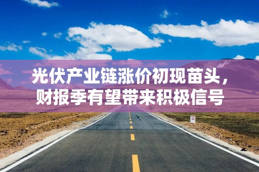 光伏产业链涨价初现苗头，财报季有望带来积极信号