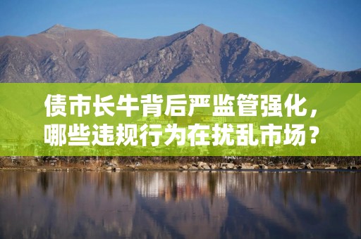 债市长牛背后严监管强化，哪些违规行为在扰乱市场？