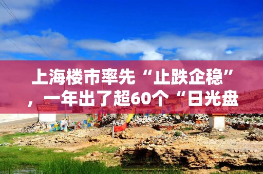 上海楼市率先“止跌企稳”，一年出了超60个“日光盘”