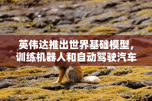 英伟达推出世界基础模型，训练机器人和自动驾驶汽车
