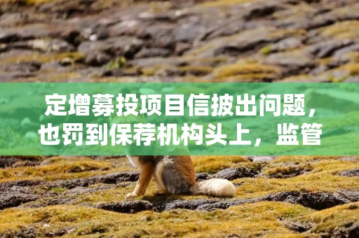 定增募投项目信披出问题，也罚到保荐机构头上，监管加强全链条监管不断显现
