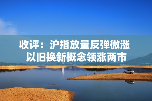 收评：沪指放量反弹微涨 以旧换新概念领涨两市
