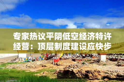 专家热议平阴低空经济特许经营：顶层制度建设应快步跟上