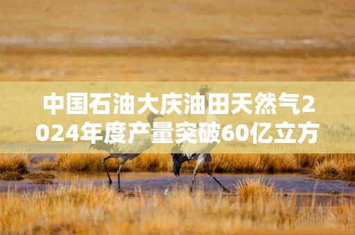 中国石油大庆油田天然气2024年度产量突破60亿立方米