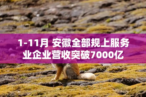 1-11月 安徽全部规上服务业企业营收突破7000亿